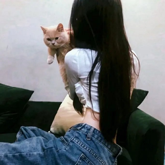 伊迪与潘 在线观看